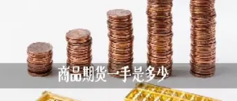期货买的东西(期货买的东西可以兑现吗)_https://qh.meihuadianqi.com_金融期货_第1张