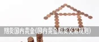 黄金期货入门资金来源(黄金期货入门资金来源是什么)_https://qh.meihuadianqi.com_金融期货_第1张