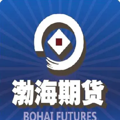 期货免征增值税渤海期货(期货缴纳增值税多少)_https://qh.meihuadianqi.com_期货直播间_第1张
