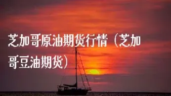 美国芝加哥原油交易所(芝加哥商品交易所原油)_https://qh.meihuadianqi.com_商品期货_第1张