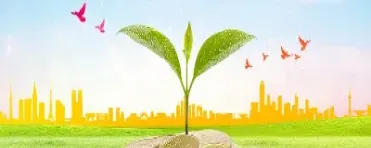 盈立富期货(盈富期货平台)_https://qh.meihuadianqi.com_金融期货_第1张