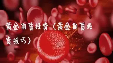 如何购买国际价格黄金期货(如何购买国际价格黄金期货呢)_https://qh.meihuadianqi.com_期货分析_第1张