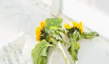 期货断线好还是长线好(期货断线好还是长线好呢)_https://qh.meihuadianqi.com_期货直播间_第1张