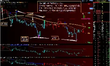 期货成交量图(期货成交量图解)_https://qh.meihuadianqi.com_商品期货_第1张