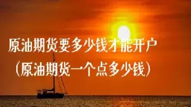期货原油手续费是多少(期货原油手续费是多少钱)_https://qh.meihuadianqi.com_金融期货_第1张