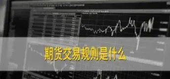股票期货交易价值在哪看(股票期货在哪里看)_商品期货_第1张_美华期货直播室 股票期货交易价值在哪看(股票期货在哪里看)_https://qh.meihuadianqi.com_商品期货_第1张