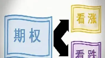 个股期权与商品期权(个股期权与商品期权的区别)_https://qh.meihuadianqi.com_金融期货_第1张