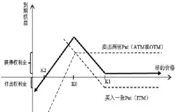 买看跌期权(买看跌期权是什么意思)_https://qh.meihuadianqi.com_金融期货_第1张