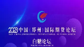 2021中国郑州国际期货(2021郑州国际期货论坛)_https://qh.meihuadianqi.com_金融期货_第1张
