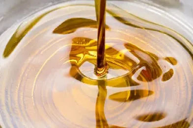 期货棕榈油(期货棕榈油数据)_https://qh.meihuadianqi.com_商品期货_第1张