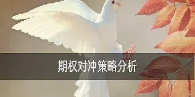 期权与对冲(期权对冲策略)_https://qh.meihuadianqi.com_商品期货_第1张